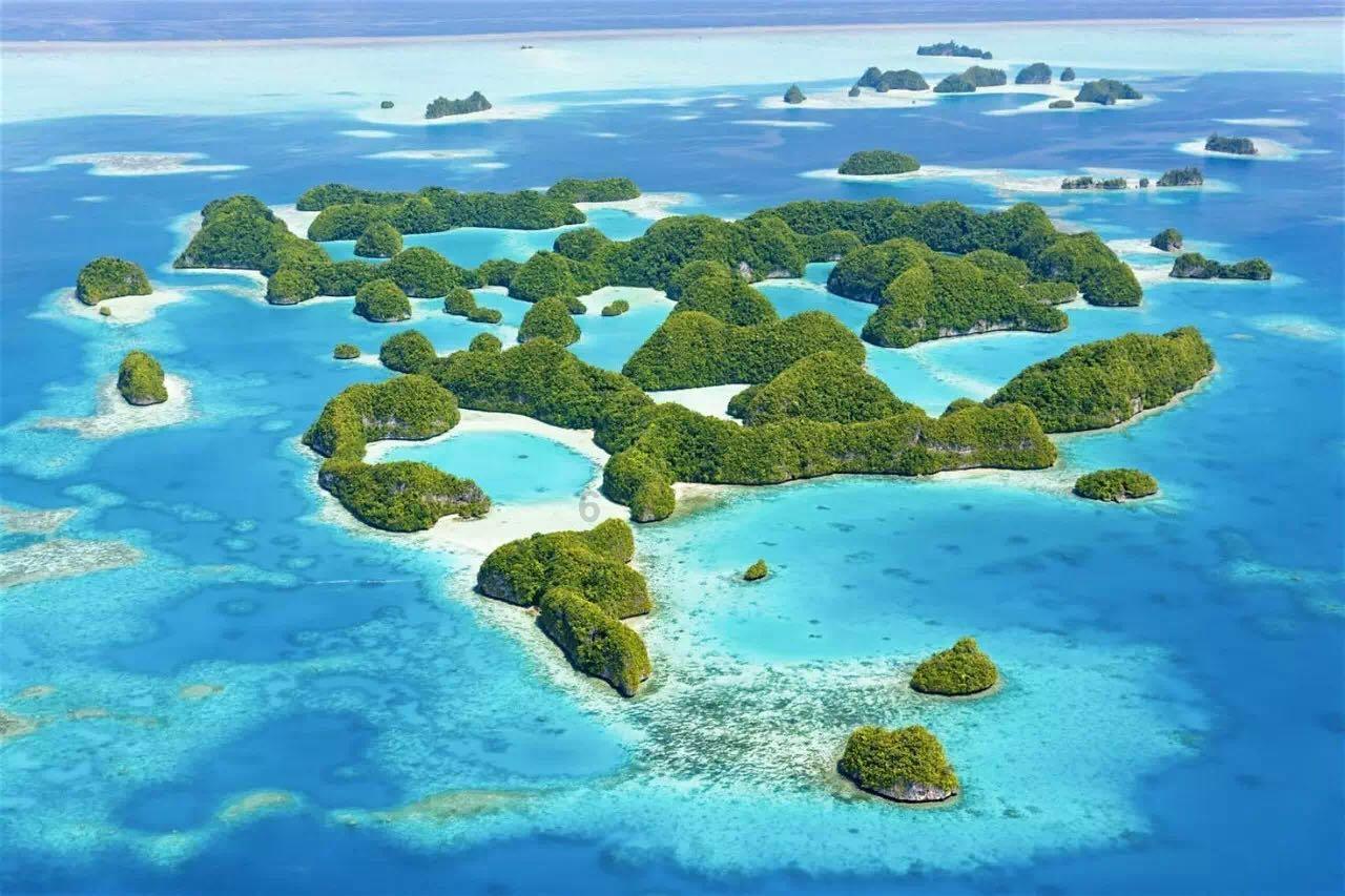 植物大战僵尸2