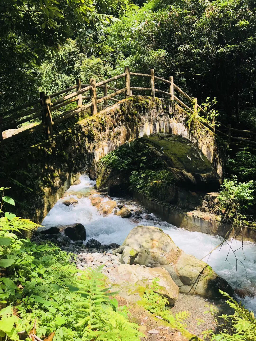 崩坏3